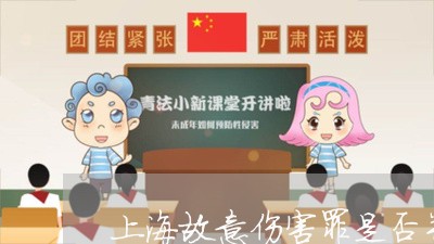 上海故意伤害罪是否并处罚金/2023032667248