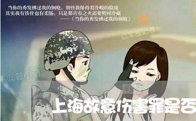 上海故意伤害罪是否需要轻伤/2023032657371 上海故意伤害罪是否需要轻伤/2023032657371