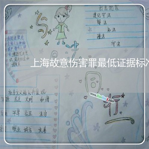 上海故意伤害罪最低证据标准/2023032662937