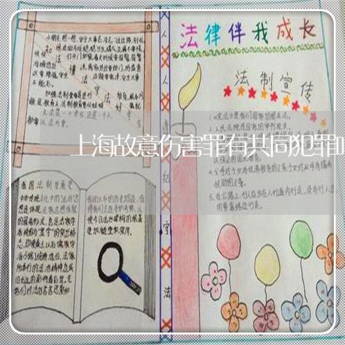 上海故意伤害罪有共同犯罪吗/2023032630150