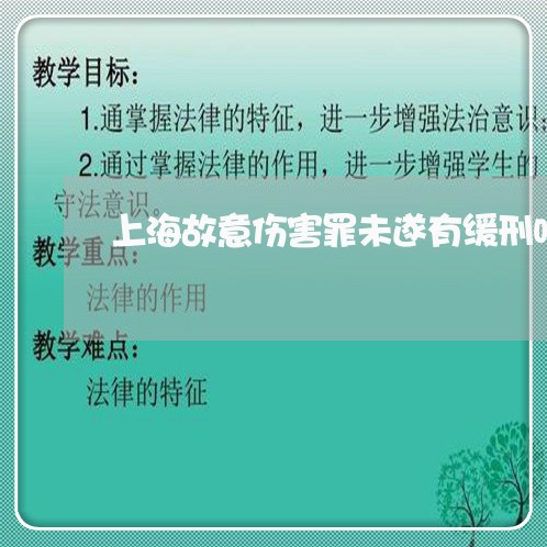 上海故意伤害罪未遂有缓刑吗/2023032657179