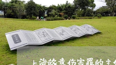 上海故意伤害罪的主体是什么/2023032652794