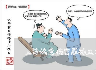 上海故意伤害罪矫正方案制定/2023032603826