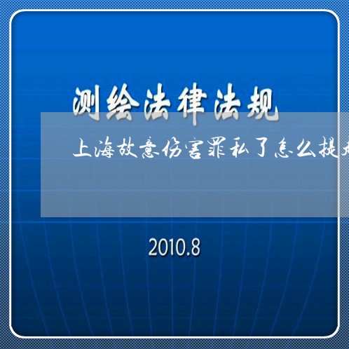 上海故意伤害罪私了怎么提起/2023032616827