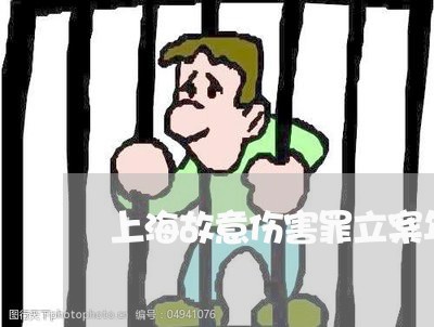 上海故意伤害罪立案年龄12/2023032684816