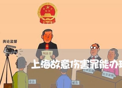 上海故意伤害罪能办理护照么/2023032605948