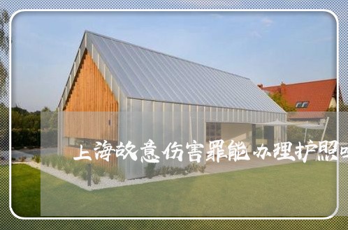 上海故意伤害罪能办理护照吗/2023032669451