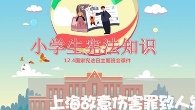 上海故意伤害罪致人轻伤咋办/2023032638260