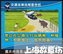 上海故意伤害罪致人重伤残疾/2023032695828