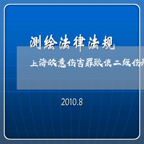 上海故意伤害罪致使二级伤残/2023032617158