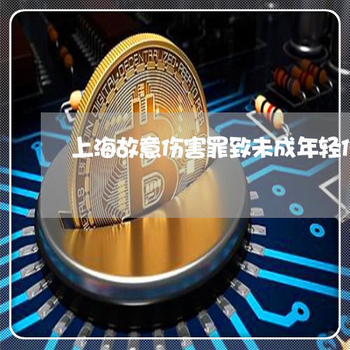 上海故意伤害罪致未成年轻伤/2023032690714 上海故意伤害罪致未成年轻伤/2023032690714