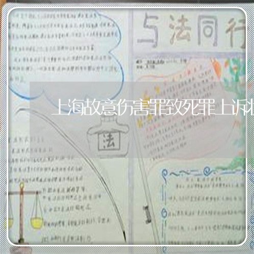 上海故意伤害罪致死罪上诉状/2023032661593