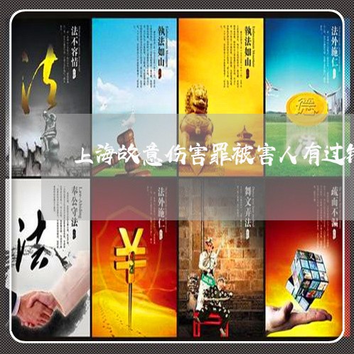 上海故意伤害罪被害人有过错/2023032659492