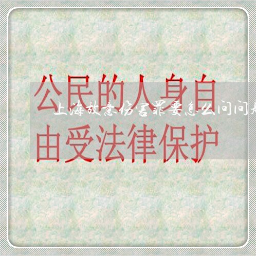 上海故意伤害罪要怎么问问题/2023032628284 上海故意伤害罪要怎么问问题/2023032628284