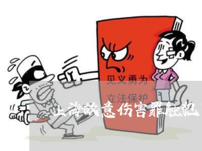 上海故意伤害罪触犯了哪条罪/2023032651470 上海故意伤害罪触犯了哪条罪/2023032651470