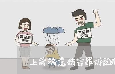 上海故意伤害罪诉讼状怎么写/2023032694704