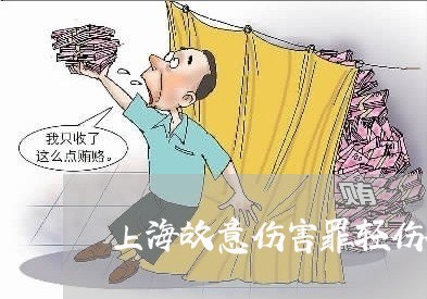 上海故意伤害罪轻伤鉴定标准/2023032663816