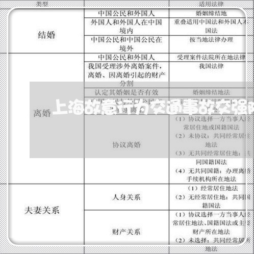 上海故意行为交通事故交强险/2023032693715 上海故意行为交通事故交强险/2023032693715