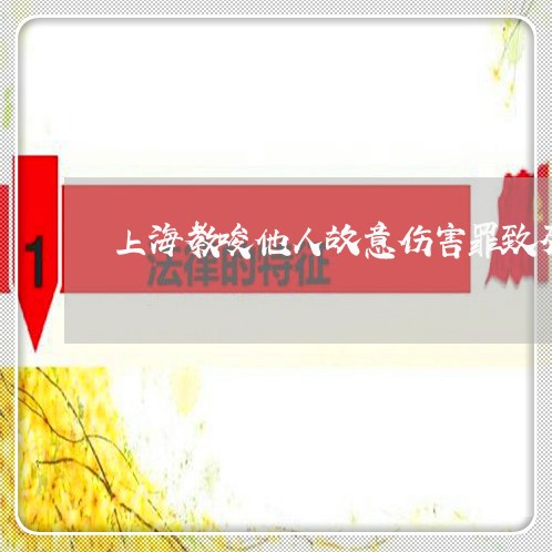 上海教唆他人故意伤害罪致死/2023032641402