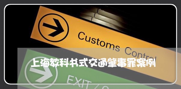 上海教科书式交通肇事罪案例/2023032696838 上海教科书式交通肇事罪案例/2023032696838