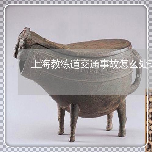上海教练道交通事故怎么处理/2023032660634