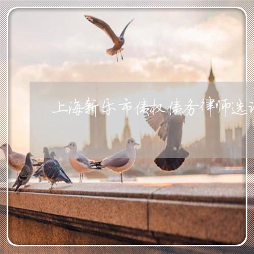 上海新乐市债权债务律师选谁/2023032694958