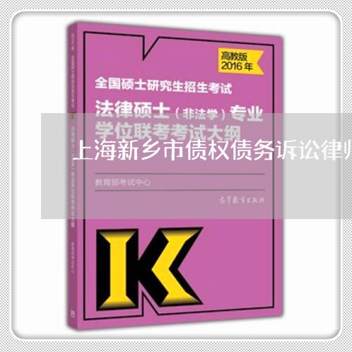 上海新乡市债权债务诉讼律师/2023032651503