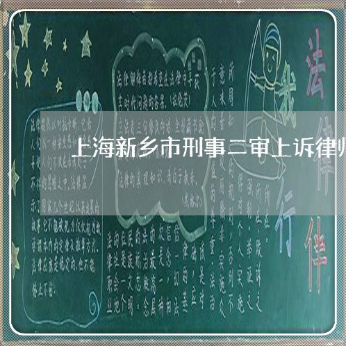上海新乡市刑事二审上诉律师/2023032671492 上海新乡市刑事二审上诉律师/2023032671492