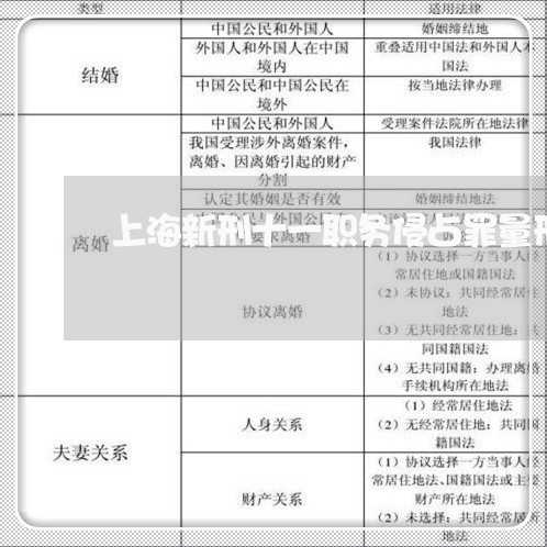 上海新刑十一职务侵占罪量刑/2023032681593