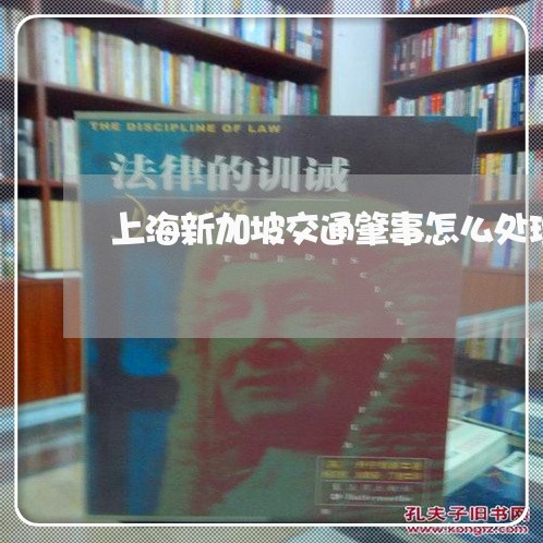 上海新加坡交通肇事怎么处理/2023032648149 上海新加坡交通肇事怎么处理/2023032648149