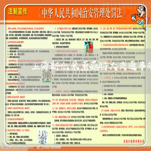 上海新化采蘑菇特大交通事故/2023032659692