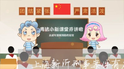 上海新沂刑事案件有名气律师/2023032638259