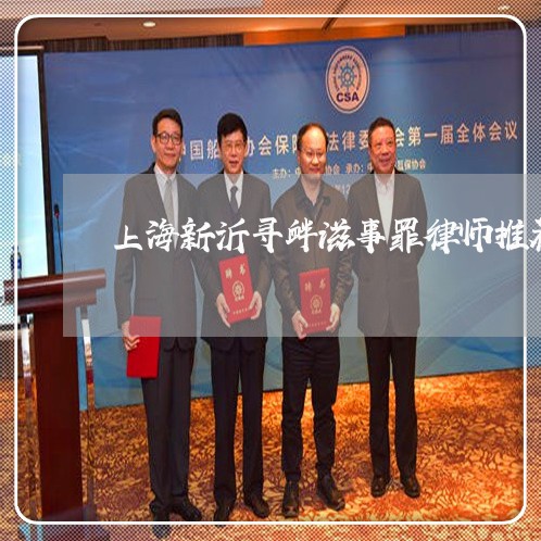 上海新沂寻衅滋事罪律师推荐/2023032629151