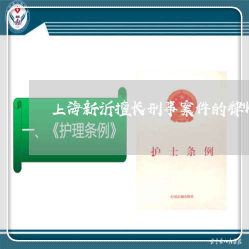 上海新沂擅长刑事案件的律师/2023032640384 上海新沂擅长刑事案件的律师/2023032640384