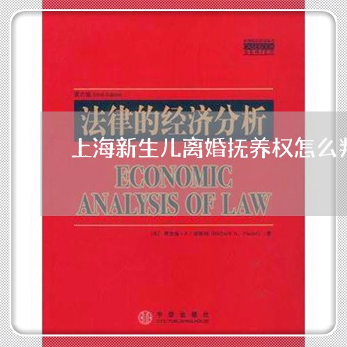 上海新生儿离婚抚养权怎么判/2023032610593