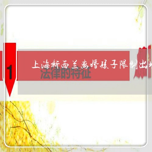 上海新西兰离婚孩子限制出境/2023032661573