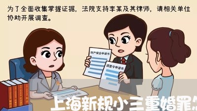 上海新规小三重婚罪怎么定罪/2023032693717