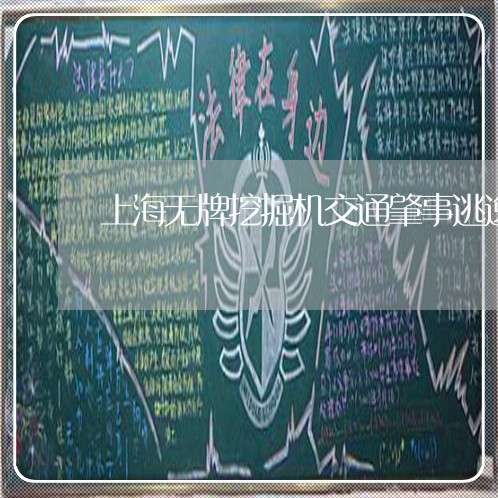 上海无牌挖掘机交通肇事逃逸/2023032632694