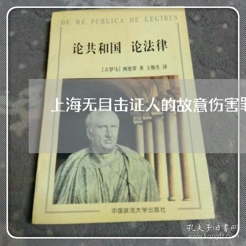 上海无目击证人的故意伤害罪/2023032663795 上海无目击证人的故意伤害罪/2023032663795