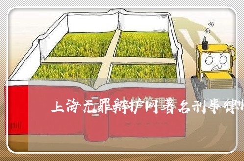 上海无罪辩护网著名刑事律师/2023032617959