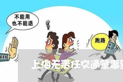 上海无责任交通肇事致人死亡/2023032649293