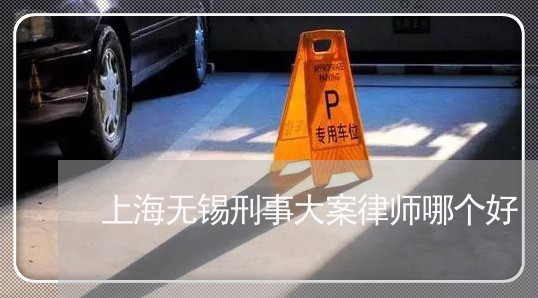 上海无锡刑事大案律师哪个好/2023032615830