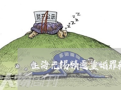 上海无锡精通重婚罪辩护律师/2023032617259