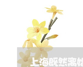 上海既然离婚了为啥还要结婚/2023032630364