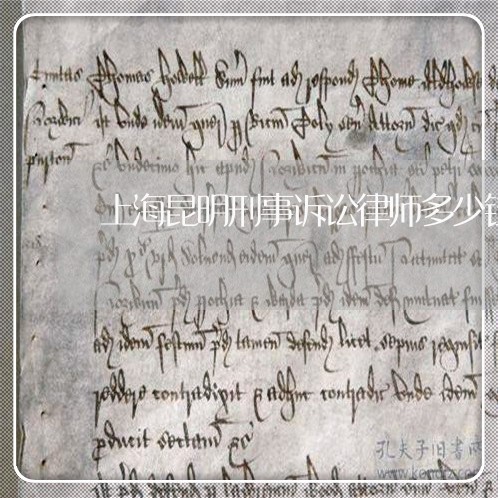 上海昆明刑事诉讼律师多少钱/2023032683505