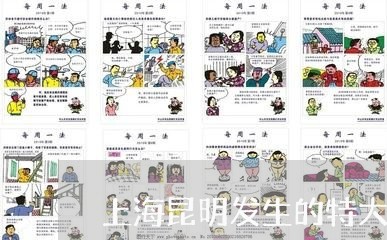 上海昆明发生的特大交通事故/2023032601824