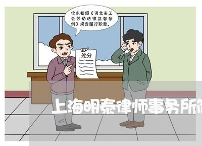 上海明泰律师事务所简介