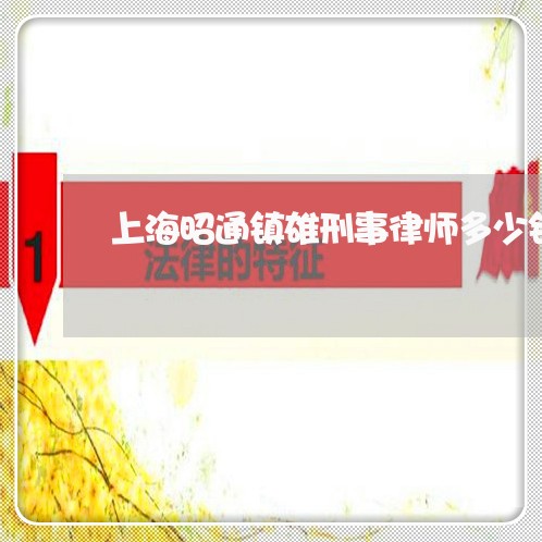 上海昭通镇雄刑事律师多少钱/2023032603735 上海昭通镇雄刑事律师多少钱/2023032603735
