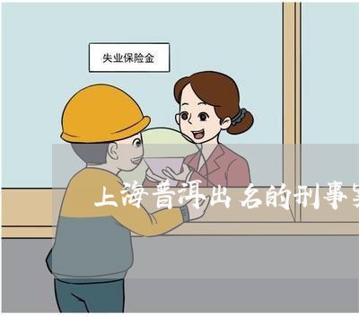 上海普洱出名的刑事案件律师/2023032694937