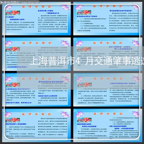 上海普洱市4月交通肇事逃逸/2023032637261